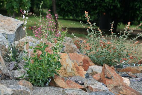 Something about rocks. | Desert garden, Rock garden landscaping, Desert ...