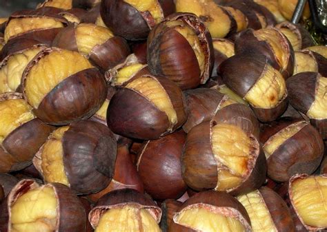 Fresh Chestnuts Buy fresh chestnuts in California United States from ...