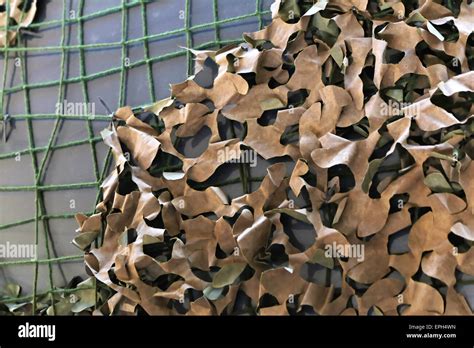 Camouflage netting Stock Photo: 82740945 - Alamy