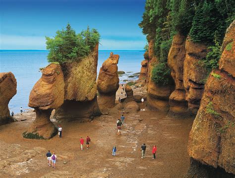 Bay of Fundy, Canada | Beautiful Photos and Information | Canada travel ...