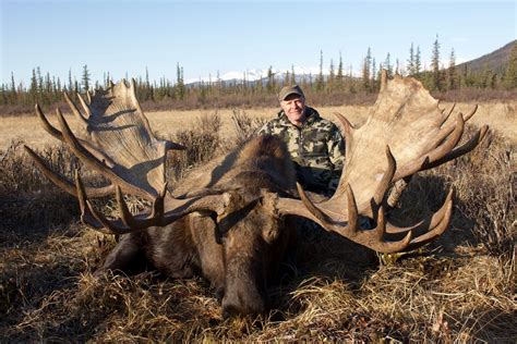 Alaskan Yukon Moose - Northwest Territories Guide & Outfitters