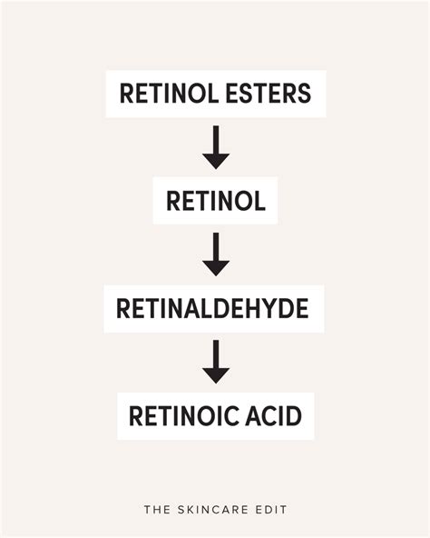 Retinoid vs Retinol: What’s the Difference? - The Skincare Edit