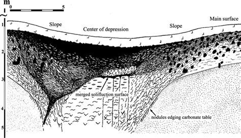 Loess-paleosol sequence in paleocryogenic depression. Komarichi loess ...