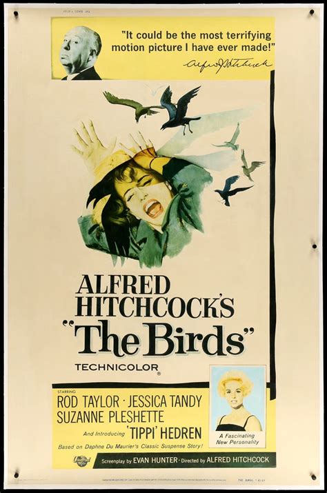 The Birds (1963) Original Forty by Sixty Theatrical Movie Poster ...