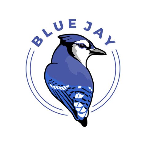 blue jay bird logo design vector 7035994 Vector Art at Vecteezy