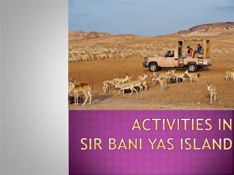 Activities in Sir Bani Yas Island