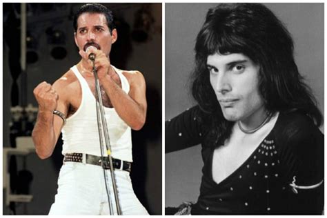 Freddie Mercury net worth, cause of death, age, children, wife ...