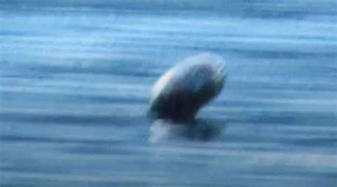 Canada's loch ness spotted for the first time in years, three different ...