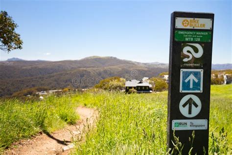 Mount Buller Walking and Biking Trails in Summer Stock Image - Image of ...