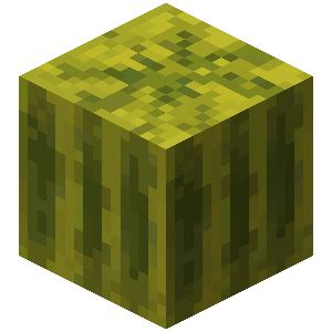 Melon (block) | Hypixel SkyBlock Wiki | Fandom