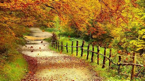 Beautiful Autumn HD Wallpapers 1920x1080 - WallpaperSafari