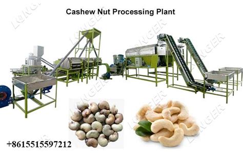 Raw Cashew Nut Processing Machine Price