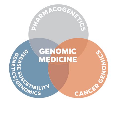 PARADIGM Training Program » Precision Medicine Program » UF Health ...