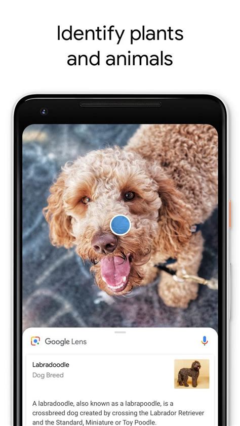 Google Lens for Android - APK Download