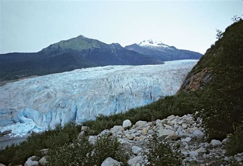 Glacier Bay National Park and Preserve | Alaska, USA, Wildlife ...