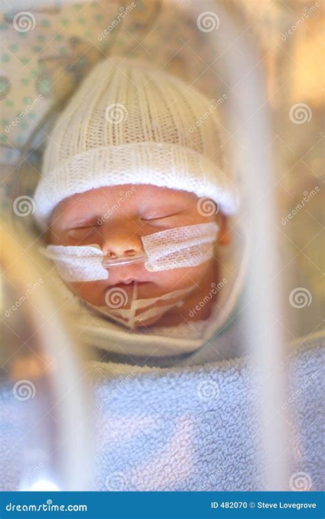 Premature Baby Boy stock photo. Image of birth, treat, sick - 482070