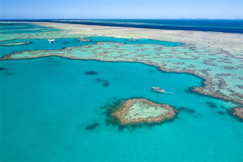 Heart Reef Tours –Exclusive Helicopter Pontoon at Heart Reef – Snorkel