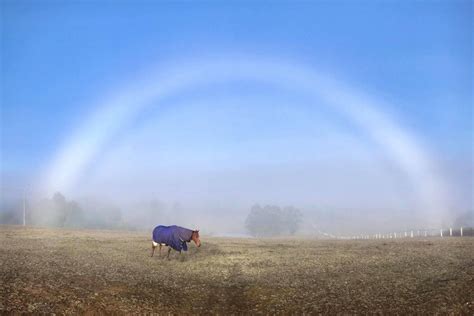 Why 'fogbows', ghostly white rainbows, are such a rare treat to spot in ...