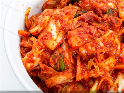 Authentic Korean Kimchi Recipe