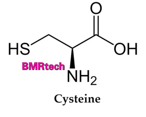 BMRtech97