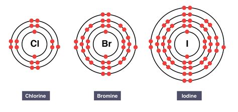 Periodic Table Group 7 Elements Similarities And Trends | Brokeasshome.com