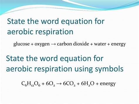 Word And Symbol Equation For Aerobic Respiration - Tessshebaylo