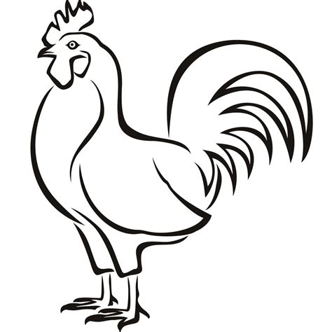 Chicken Hen Birds Wall Art Decals Wall Stickers Transfers | Outline ...