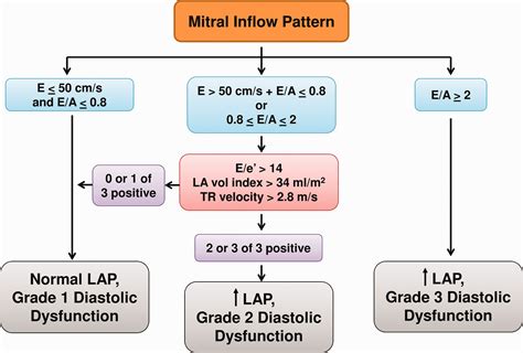 Echocardiographic evaluation of diastolic function in the setting of ...