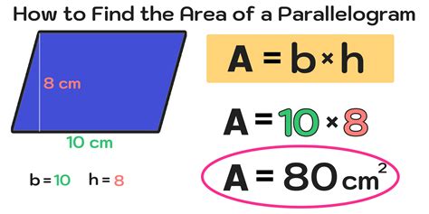 Area of a Parallelogram Calculator — Mashup Math