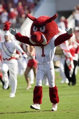 12 Cool College Mascots - StateUniversity.com Blog