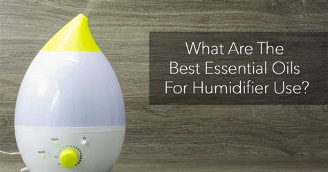 What Are The Best Essential Oils For Humidifier Use?