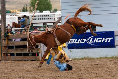 Saddle Bronc | Jason Savage Photography