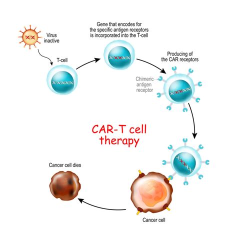 Gene therapy for cancer 101 | Alliance for Cancer Gene Therapy