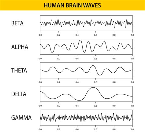 Beta, alpha, theta, delta, gamma brain waves. Set of brain waves ...