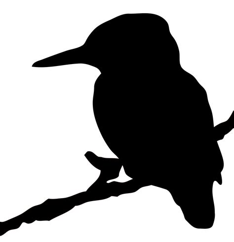 Kingfisher Bird Silhouette Clipart Free Stock Photo - Public Domain ...