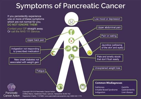 New ‘chemotherapy booster’ could treat lung and pancreatic cancer ...