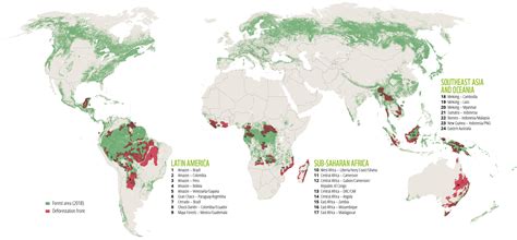 Palm Oil Deforestation Map