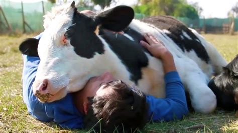 Animals Show Love for Humans - Animals Hugging People - Animals ...