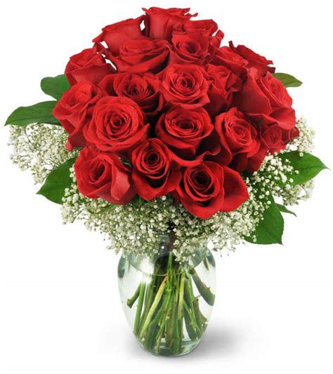 Two Dozen Red Roses - Tampa, FL Florist