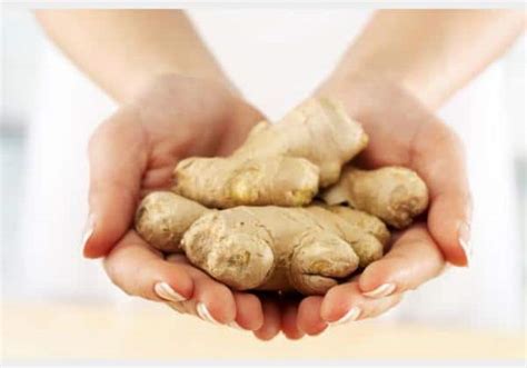 12 Interesting Facts of Ginger – 12 Facts of Just About Everything