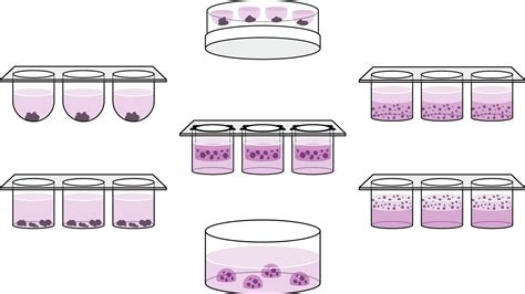 3D Cell Culture Models | Learning Center | UPM Biomedicals