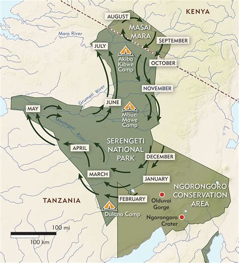 Serengeti Migration Safari – Tena Expeditions