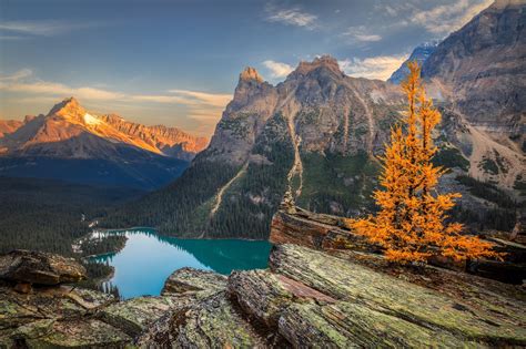 mountains, Scenery, Autumn, Lake, Canada, Parks, Crag, Yoho, Lake ...