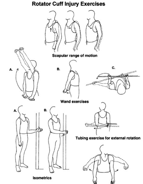 EXERCISE FOR MUSCULOSKELETAL CONDITIONS | Rotator cuff, Rotator cuff ...