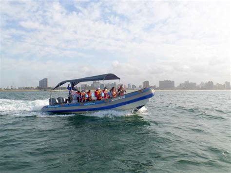 Durban: 1-Hour Boat Cruise from Wilson's Wharf | GetYourGuide