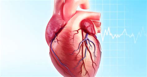 CT Heart Scan Procedure : Learn About Heart CT Scan and Risk