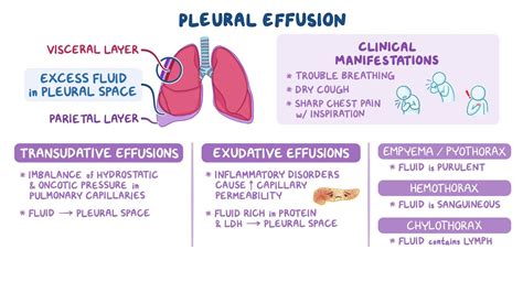 Pleural Effusion Causes