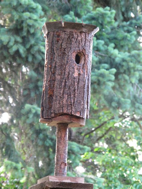 Bea that as it Mae.....: The Nuthatches and the Log Bird House