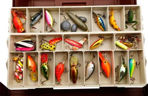 The Best Perch Lures: When to Use One Lure over the Other? | BadAngling