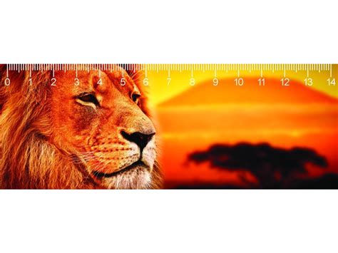 KILIMANJARO LION DEEP - mapcards.net